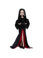 Monster High x Wednesday Morticia Addams